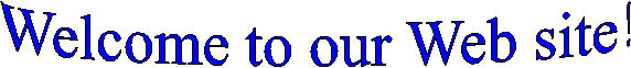 Welcome to our Web site!